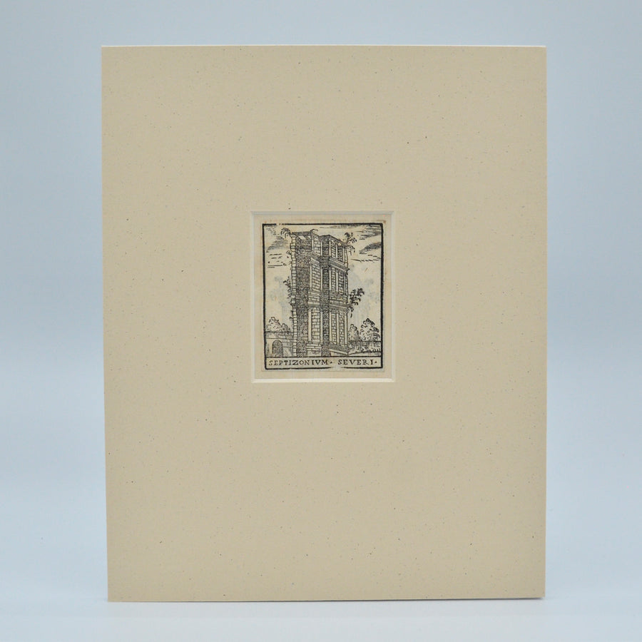 16th Century Italian Architecture Septizonium Severi Matted