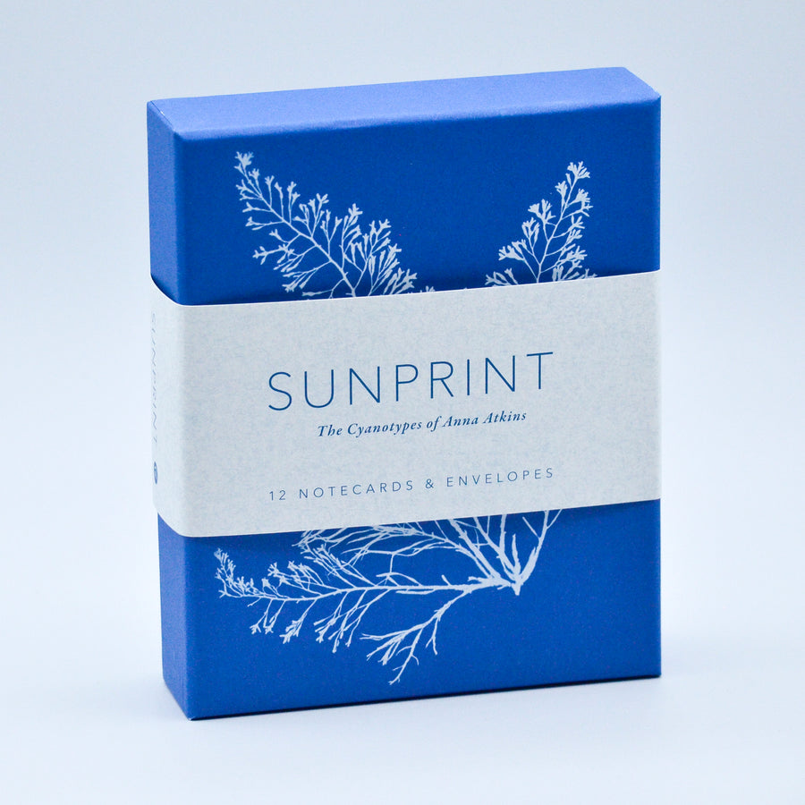 Sunprint Notecards